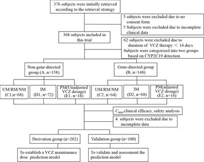 Establishment of a mathematical prediction model for voriconazole stable maintenance dose: a prospective study